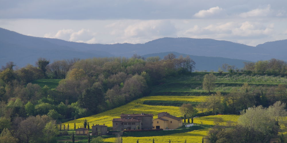 Agriturismo Draghi Arezzo Toscana